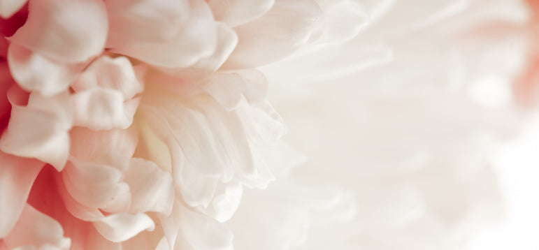 Les parfums énergétiques pour le corps et la maison