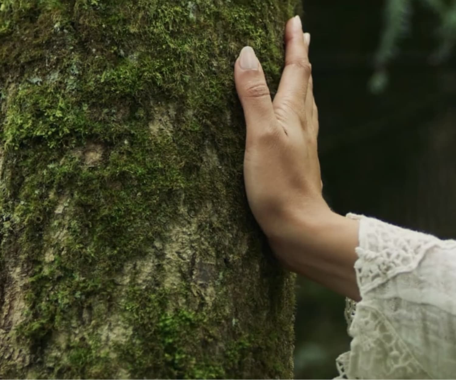 Main Arbre Energie Hozho - Soin parfumé HOZHO aux énergies actives pour la maison et le corps