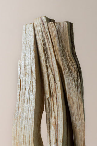 Palo santo