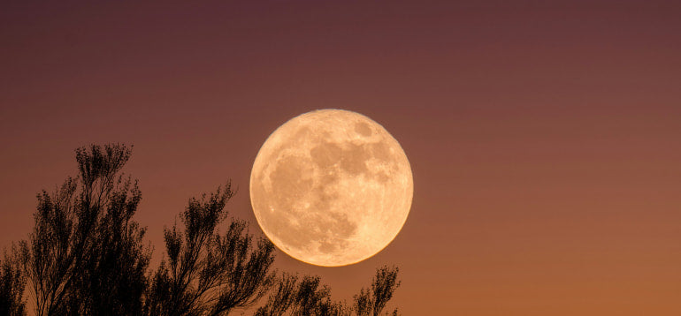 Harmoniser son énergie avec les cycles lunaires