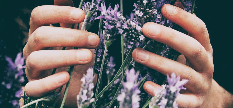 Plantes de protection pour la maison : rituels ancestraux pour un intérieur harmonieux et purifié