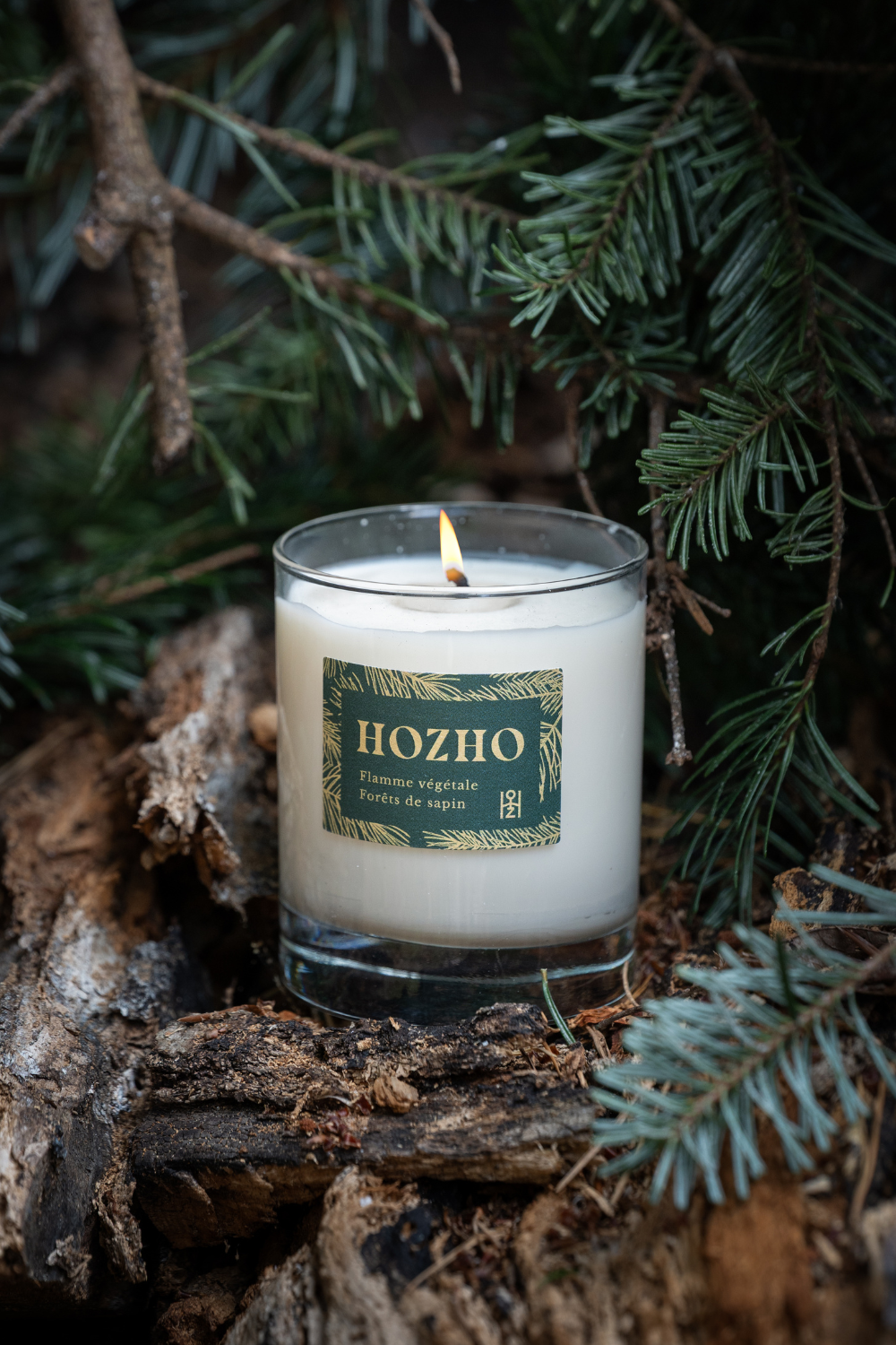 Bougie Forêt de sapin dans les bois